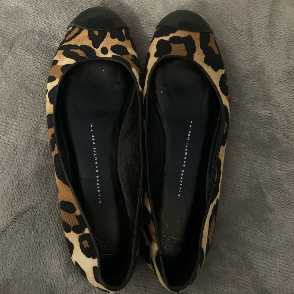 Giuseppe Zanotti
